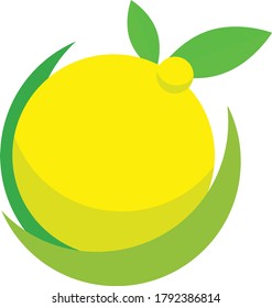 Tropical Fresh Citrus Lemon Vector
