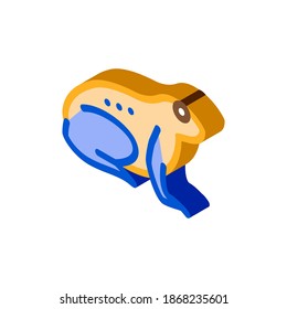tropical frog icon vector. isometric tropical frog sign. color isolated symbol illustration