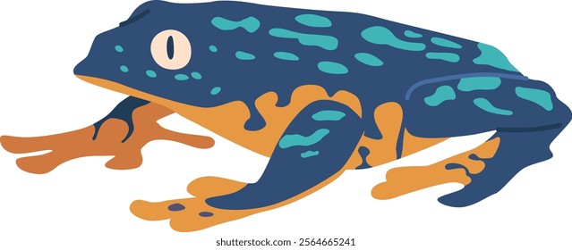 Tropical frog rainforest animal vector illustration