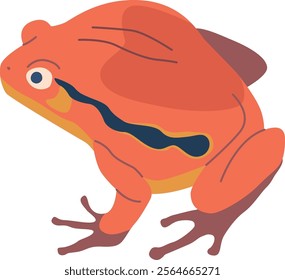 Tropical frog rare animal vector illustration