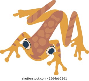 Tropical frog reptile vector illustration