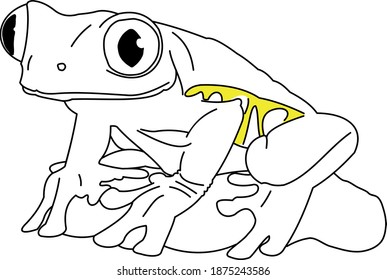 Tropical frog with a yellow stripe