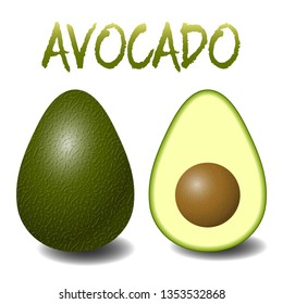 Tropical Fruit Avocado Realistic Vector Illustration 