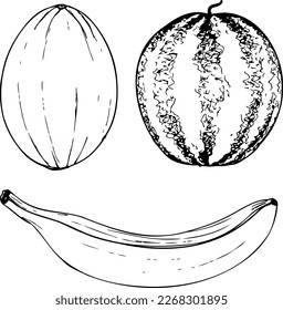 Tropical fruit black and white vector set isolated on a white background.