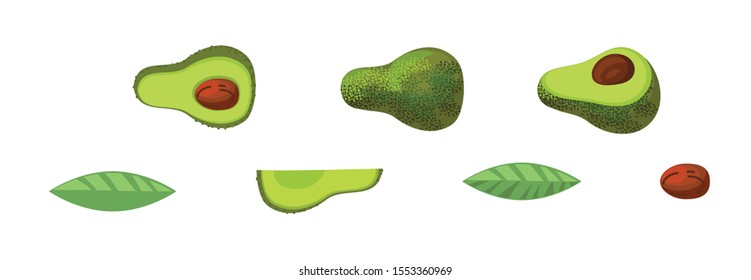 Tropical Fruit Brush: Avocado. In one motion you can draw: a whole fruit, half or part of it. A set of elements to create your unique design. Vector graphics. Isolated image on a white background.