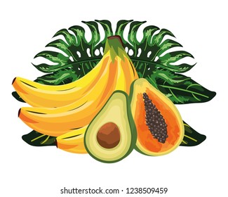 tropical fruit cartoon