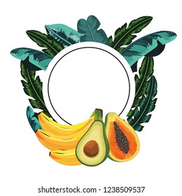 tropical fruit cartoon