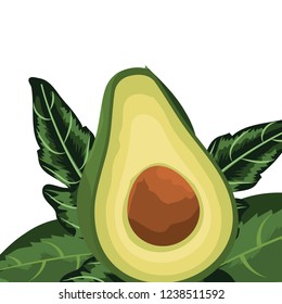 tropical fruit cartoon