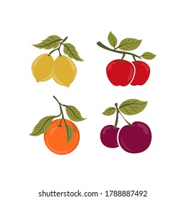 Tropical fruit and citrus fruit. Vector illustration. Gardening