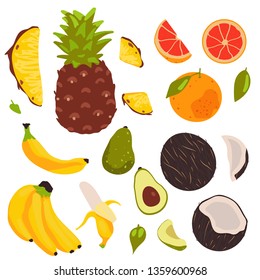 tropical fruit collection isolated on white background vector