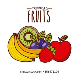 tropical fruit design, vector illustration eps10 graphic 
