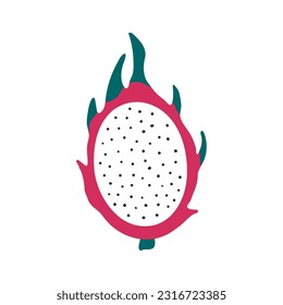 Tropical fruit dragon fruit hand drawn illustration. Cartoon style flat design, isolated vector. Summer food, exotic fruit, seasonal print, menu element, holidays, vacations, beach, pool party