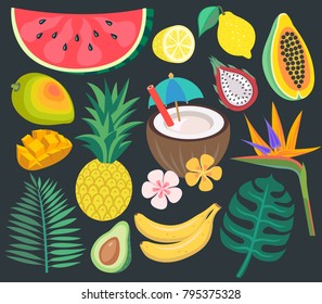 tropical fruit floral vector collection set