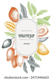 Plantilla de volador de frutas tropicales. Fondo de verano. Boceto de mango. Ilustración vectorial dibujada a mano. Diseño de marco de planta tropical. NO AI generado