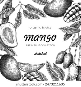 Tropical fruit frame. Ripe mango sketch. Hand drawn vector illustration. Packaging, menu template, juice design. Exotic plants background. NOT AI generated.