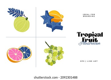 Tropical fruit and graphic design elements collection. Ingredients color cliparts. Sketch style smoothie or juice ingredients.