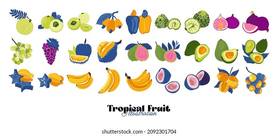 Tropical fruit and graphic design elements collection. Ingredients color cliparts. Sketch style smoothie or juice ingredients.