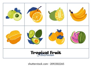 Tropical fruit and graphic design elements collection. Ingredients color cliparts. Sketch style smoothie or juice ingredients.