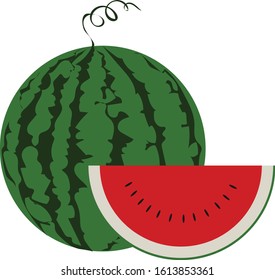 tropical fruit green watermelon icon