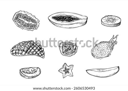 Tropical fruit halves and slices vector isolated illustration painted by black inks. Mango, pitaya or dragon fruit, kiwano or horned melon, carambola or starfruit, guava, kiwi, and passion fruits.