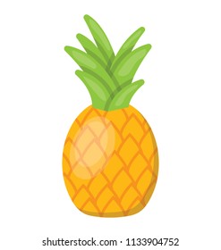 A tropical  fruit with hard shell outside and fresh juicy pulp inside called pineapple