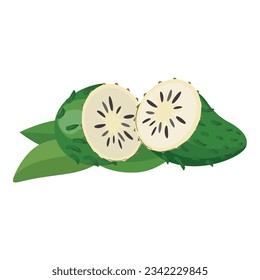 Tropical fruit icon cartoon vector. Muricata leaf. Annona food