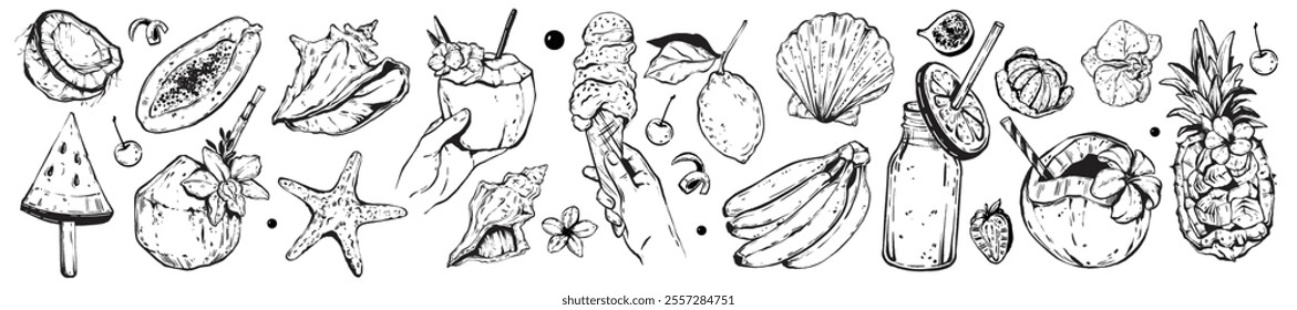 Tropical fruit icon set, vector summer vacation illustration, hand drawn exotic coconut drink doodle. Fresh juice tasty ice cream, beach seashell, pineapple dessert, banana. Tropical summer collection