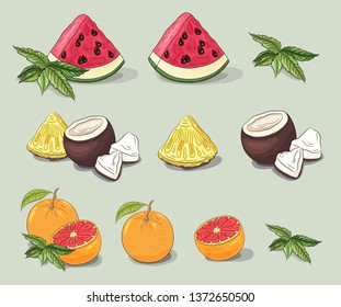 Tropical fruit icons. Ripe fruit set isolated. Hand drawn  fruit icons. Watermelon, pineapple, mint, orange, grapefruit, coconut. Colorful fruit template. Closeup.