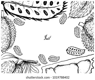 Tropical Fruit, Illustration Frame of Hand Drawn Sketch of Soursop and Durian Fruits Isolated on White Background. 