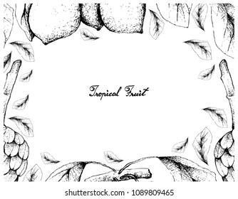 Tropical Fruit, Illustration Frame of Hand Drawn Sketch of Cherimoya, Annona Cherimola and Bacupari or Garcinia Gardneriana Fruits Isolated on White Background. 