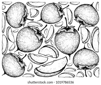 Tropical Fruit, Illustration Wallpaper Background of Hand Drawn Sketch Ripe and Sweet Kaki or Japanese Persimmon Fruits.