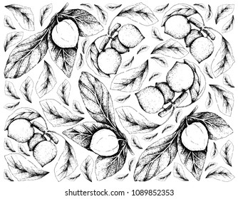 Tropical Fruit, Illustration Wallpaper of Hand Drawn Sketch Nance or Byrsonima Crassifolia and Bacupari or Garcinia Gardneriana Fruits Isolated on White Background. 