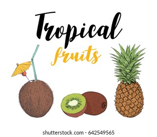 Tropical Fruit Kiwi, Pineapple, Coconut Cocktail. Hand Drawing Sketch Set Vector