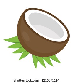 
A tropical fruit known as coconut 
