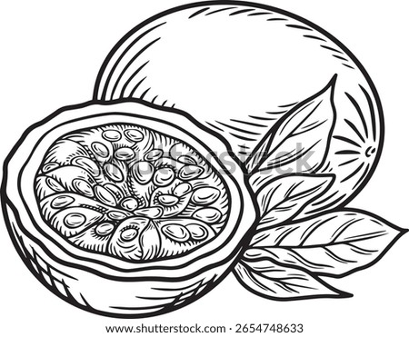 Tropical Fruit Line Drawing — Passion Fruit Sketch Vector Illustration with transparent background