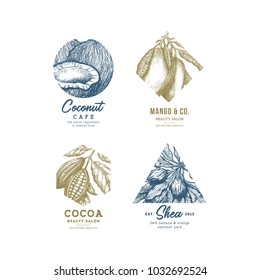 Tropical fruit logo collection. Engraved logotype set. Coconut, mango, cocoa, shea. Vector illustration