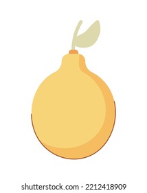 tropical fruit orange isolated icon