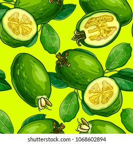 Tropical fruit pattern illustration. Feijoa summer vector background.