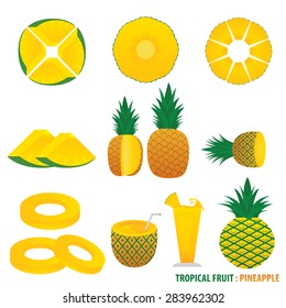 Tropical Fruit Pineapple Vector