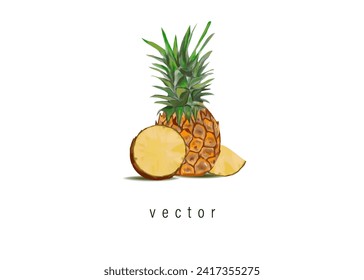 tropical fruit pineapple vector illustration