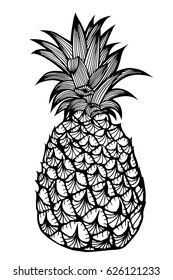 Tropical fruit pineapple. Vector line illustration in engraving style.