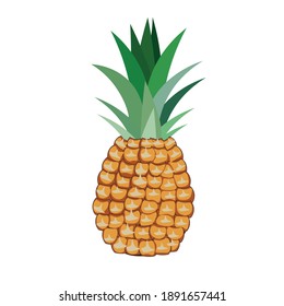 Fruto tropical, piña. Vector. Amarillo y verde. Aislado sobre un fondo blanco.