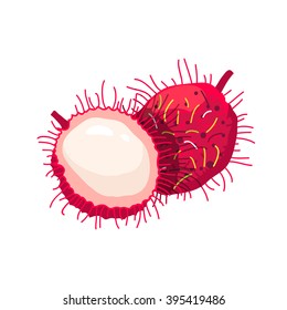 Tropical fruit rambutan on white background. Vector illustration.