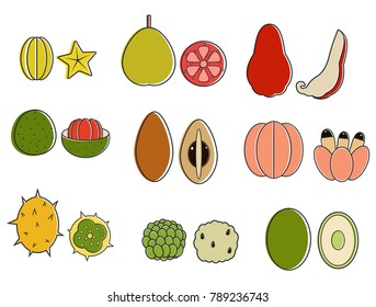 tropical fruit set