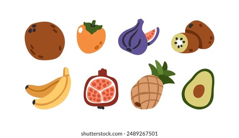 Tropical fruit set. Coconut, persimmon, fig, cut kiwi, banana, pomegranate half, whole pineapple, avocado icons. Fresh healthy summer food. Flat vector illustration isolated on white background