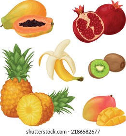 Tropical fruit set. A collection of tropical fruits such as papaya, pomegranate, banana and pineapple, kiwi and mango. Vector illustration.