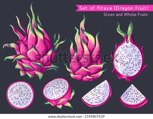 Tropical fruit set. Dragon fruit, Pitaya,\
Hylocereus undatus. Pink fruits, whole fruits, cut in half and\
sliced. Realistic, highly detailed style. Vector illustration\
design elements for your\
design.