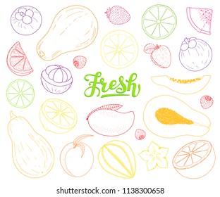 Tropical fruit set hand drawn doodles, many fruits line drawing isolated on white background, orange, peach, apricot, lemon, strawberry, watermelon, papaya, lettering fresh, for packaging print, etc.