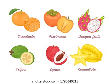 Tropical fruit set isolated on white. Tangerine, persimmon, dragon fruit, feijoa, lychee, carambola whole and slices. Vector illustration of food in cartoon flat style.