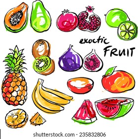 Tropical fruit set vector drawing